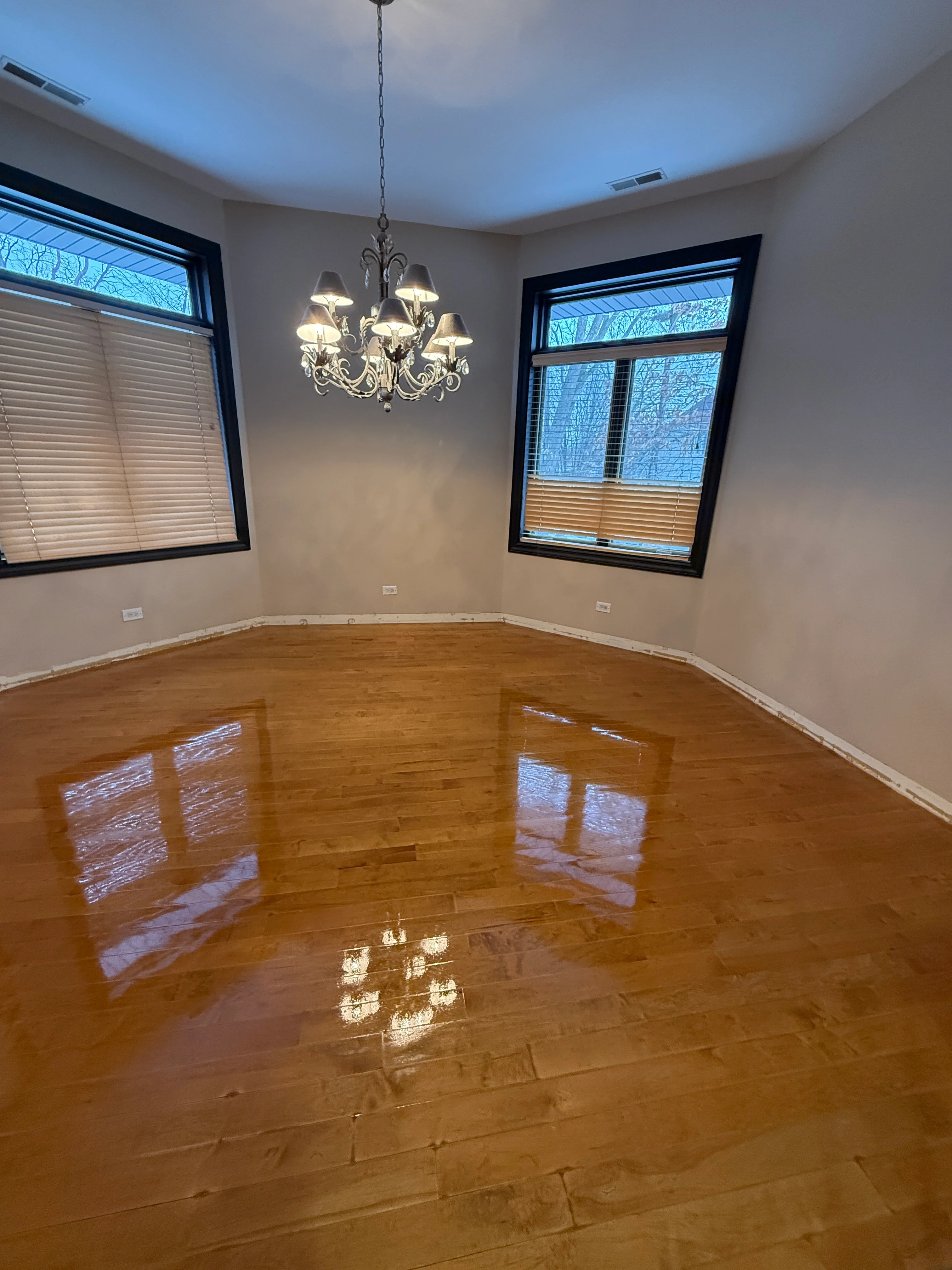 Newly installed hardwood floors with glossy finish in bright room with black-framed windows